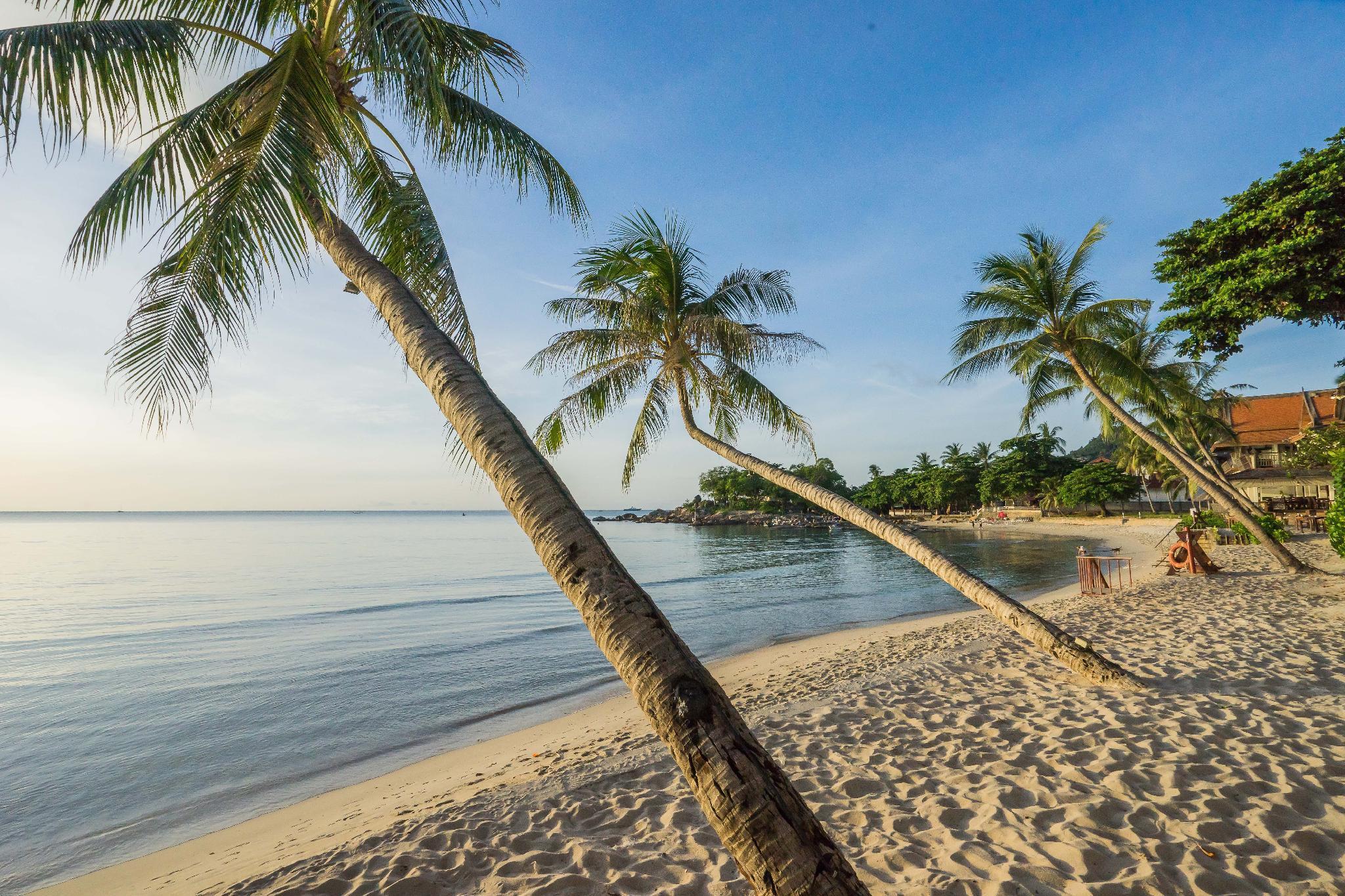 Samui Paradise Chaweng Beach Resort Dış mekan fotoğraf