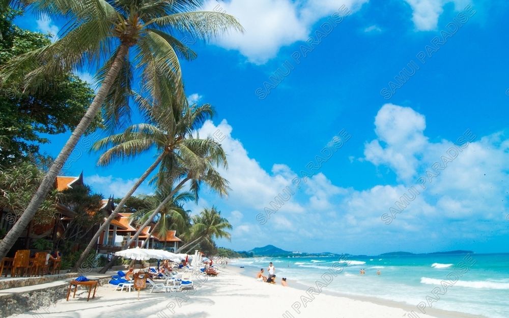 Samui Paradise Chaweng Beach Resort Dış mekan fotoğraf