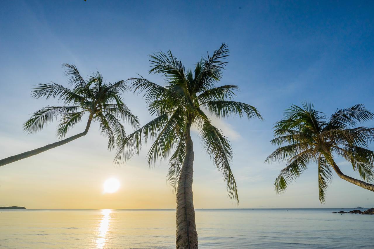Samui Paradise Chaweng Beach Resort Dış mekan fotoğraf
